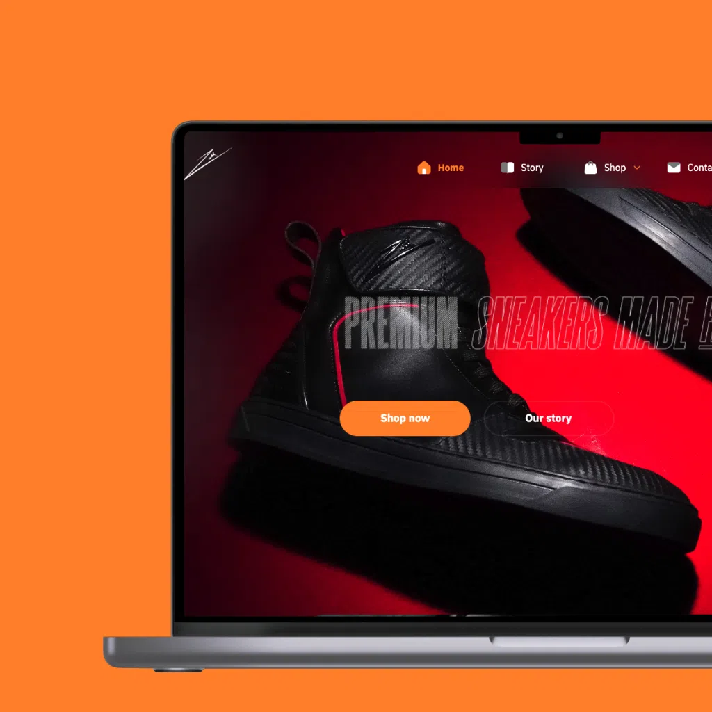Zeesh Landing Page UI